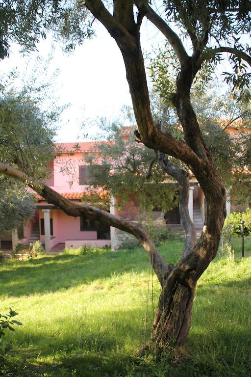 Residence Approdo Verde San Teodoro  Room photo
